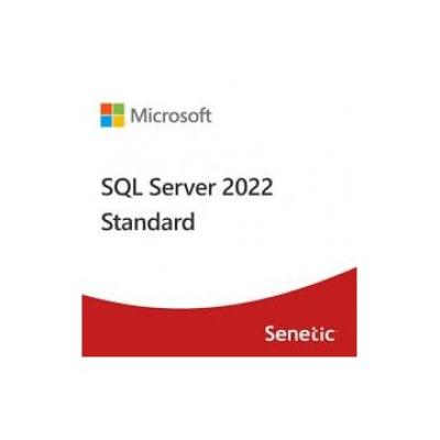 Microsoft Sql Server 2022 Standard Edition **l. 