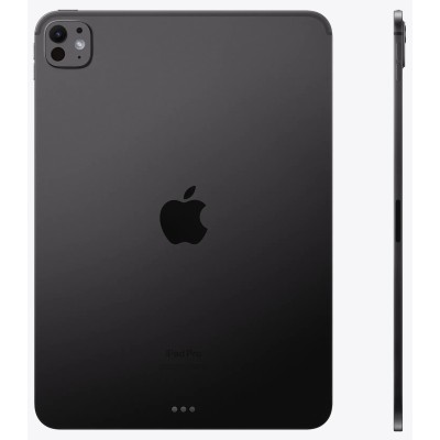 Apple iPad Pro 11' 2024 Wi-Fi con M4 1TB Negro Espacial