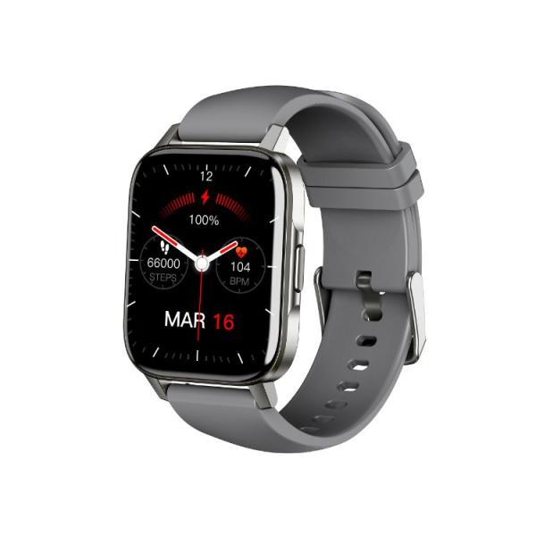 Smartwatch Multisport Crystal Gris Leotec