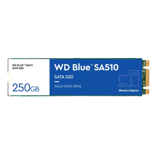 SSD WD BLUE SA510 250GB M2