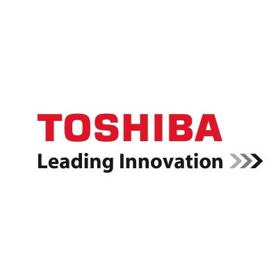 EXTENSIÓN GARANTÍA 3 AÑOS TOSHIBA IN SITU GOLD - SEGUNDO DÍA