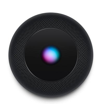 Altavoz Inteligente Apple HomePod Gris Espacial