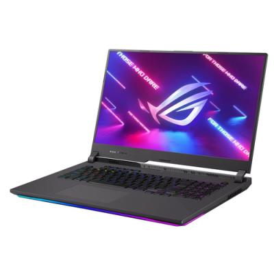 Portátil Gaming Asus ROG Strix G17 G713QR-K4197 Ryzen 7 5800H/