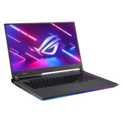 Portátil Gaming Asus ROG Strix G17 G713QR-K4197 Ryzen 7 5800H/