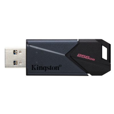 Kingston dt exodia onyx 256gb usb 3.2 gen1