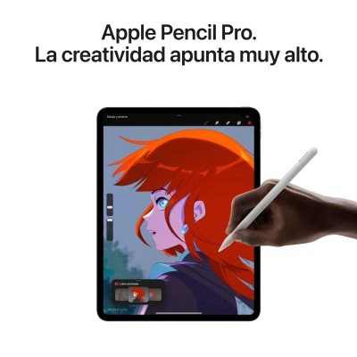 Apple iPad Pro 11' 2024 Wi-Fi con M4 256GB Negro Espacial