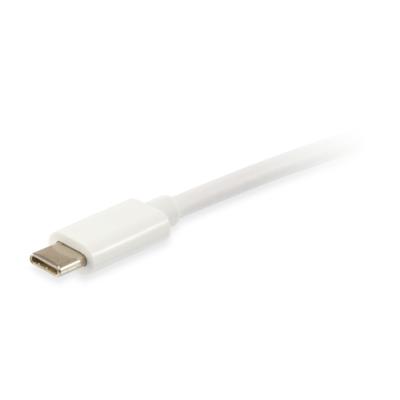 Cable Usb Platinum Usb-c Macho A Usb-c Macho 1m Equip Color