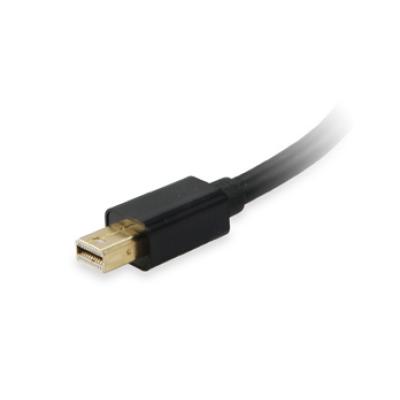 Adaptador Mini Displayport / Thunderbolt A Dvi Compatible Con