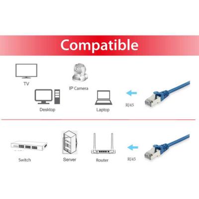 Equip 605533 cable de red Azul 0,25 m Cat6 S/FTP (S-STP)