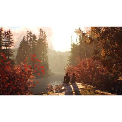 Juego para Consola Sony PS4 Life Is Strange 2