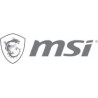 MSI