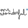 MR WONDERFUL